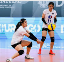 เดิมพัน วอลเลย์บอลสโมสรโลก กับ UFABET: คู่มือการแทงอย่างมืออาชีพ